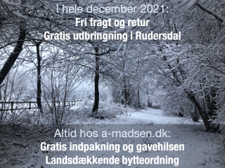 Leveringsbetingelser i december 2021