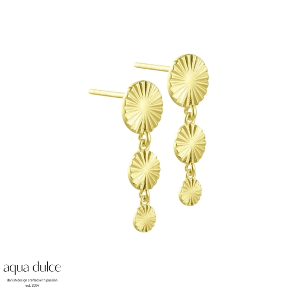 Aqua Dulce Line Coin �restikker forgyldt s�lv